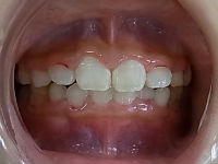 120203　６ cut_copy.jpg